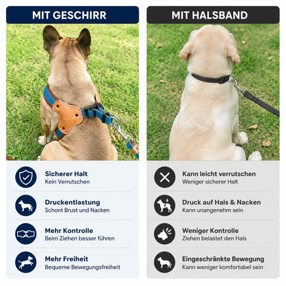 Hundegeschirr Vergleich 