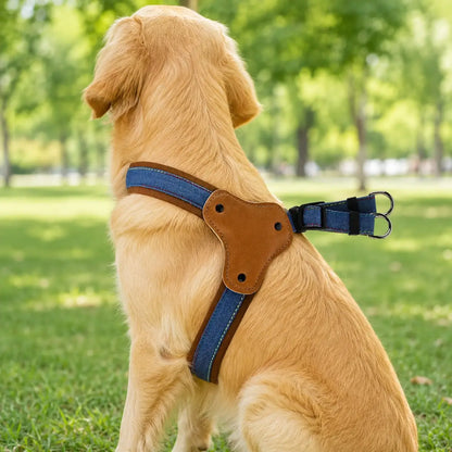 Hundegeschirr 