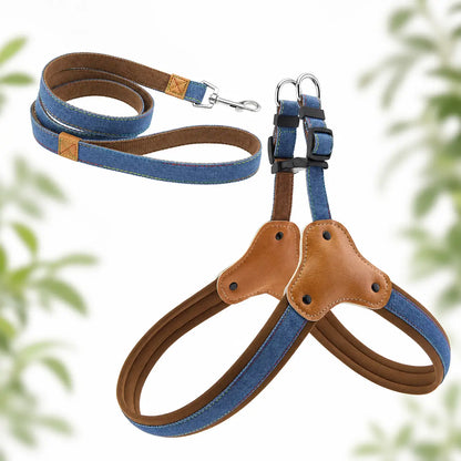 Hundegeschirr Blau