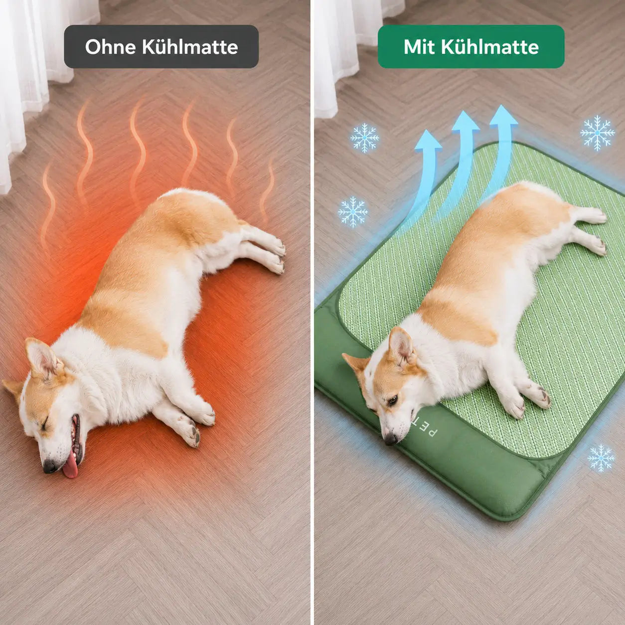 Kühlendes Hundebett  Problem & Lösung 