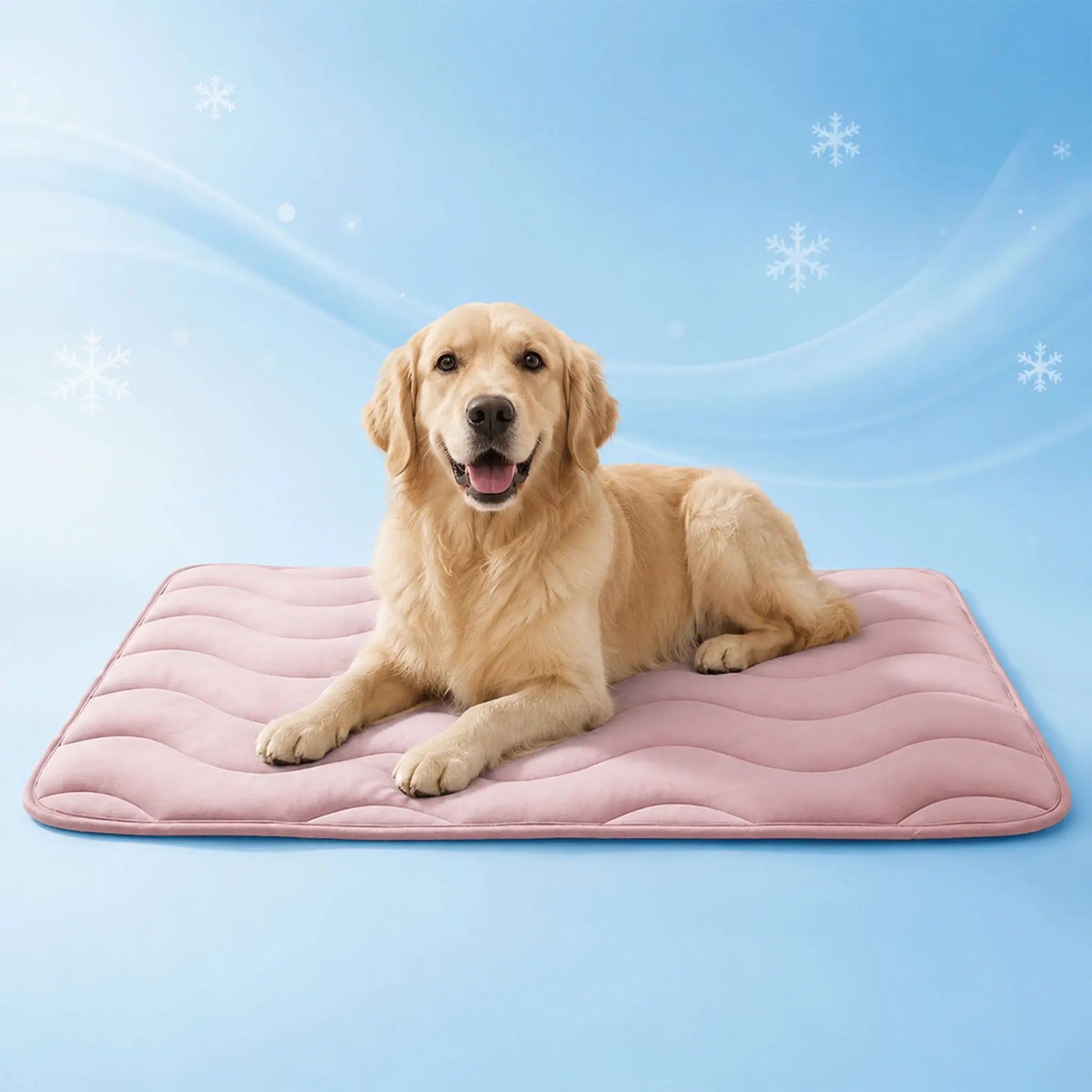 Hundekühlmatte Variantenbild  Rosa