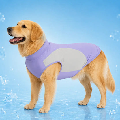 Hund mit hundekühlshirt