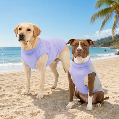 Hunde mit hundekühlshirt 