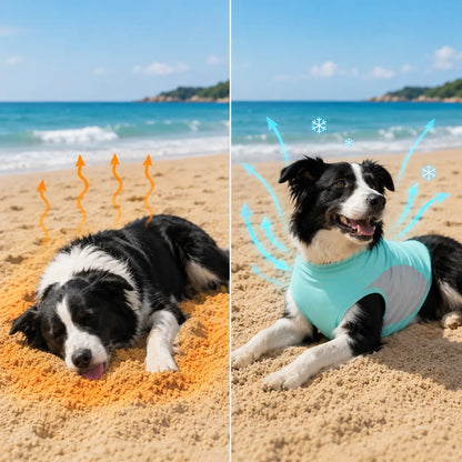 Kühlweste für Hunde reduziert Hitze an warmen Sommertagen