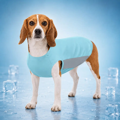 Hundekuhlshirt Variantenbild 
