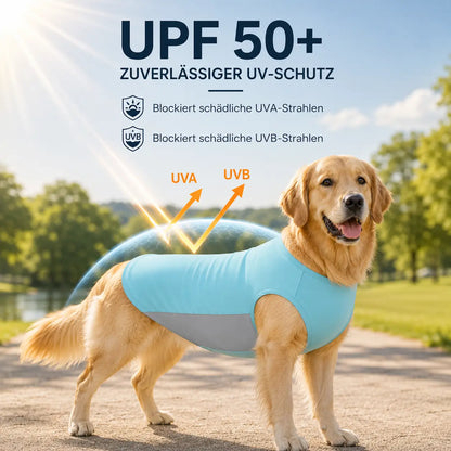 Hundekuhlshirt Vorteile 