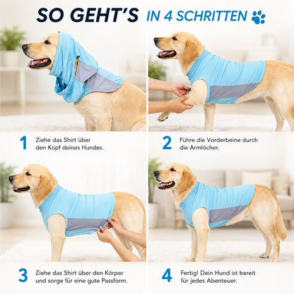 Hundekuhlshirt  Installation 