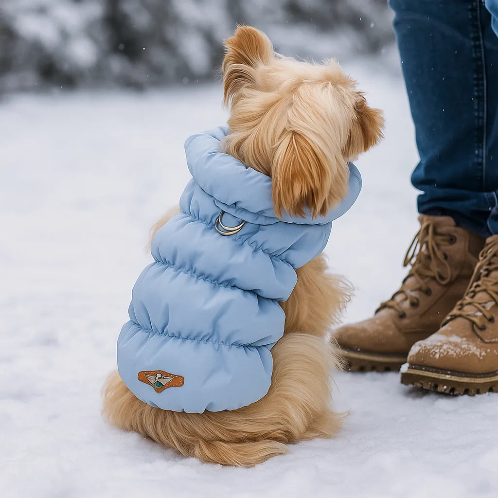 Hundemantel Winter | Warm & wasserabweisend