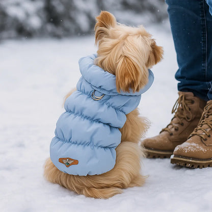 Hundemantel Winter | Warm & wasserabweisend