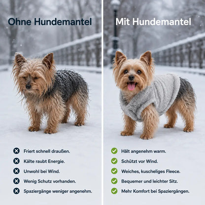 Hundemantel  Problem & Lösung