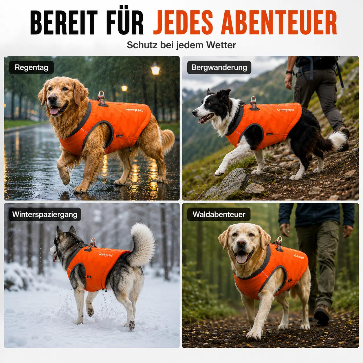 Hundemantel Anwendungsszenarien