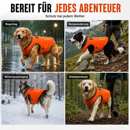 Hundemantel Anwendungsszenarien
