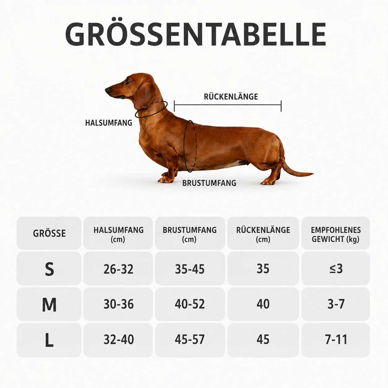 Hundemantel_Winter  