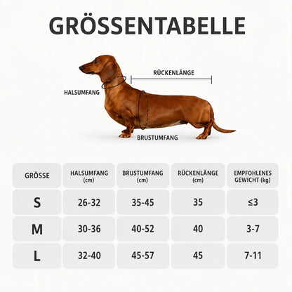 Hundemantel_Winter  