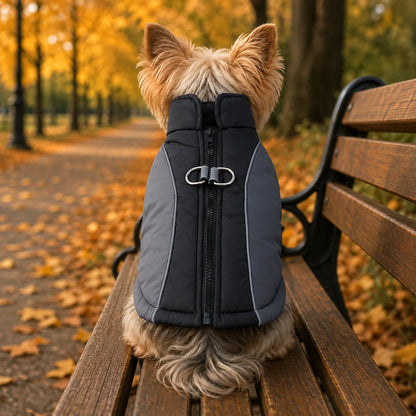 Hundemantel Winter | Warm, Wasserdicht & Reflektierend mit D-Ring