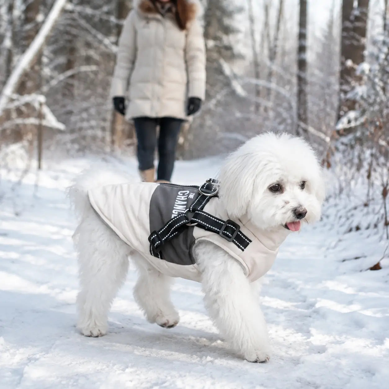 Hundemantel Winter Lifestyle-Bild