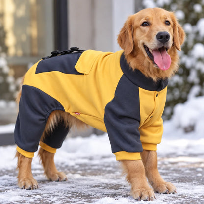Hundemantel Hauptbild 