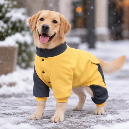 Hundemantel  Lifestyle-Bild