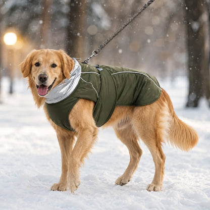 Hundemantel Hauptbild