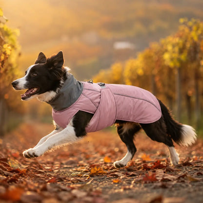Hundemantel Lifestyle-Bild