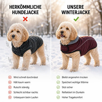 Hundemantel  Vergleich