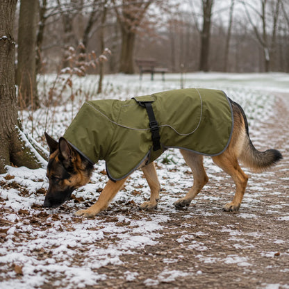 Hundemantel_Winter Lifestyle-Bild