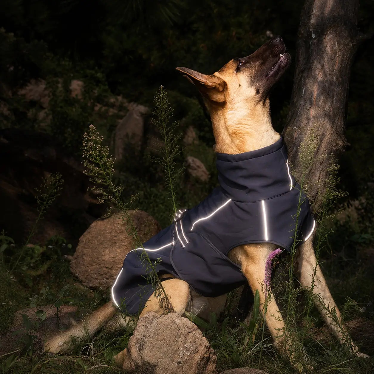 Hundemantel