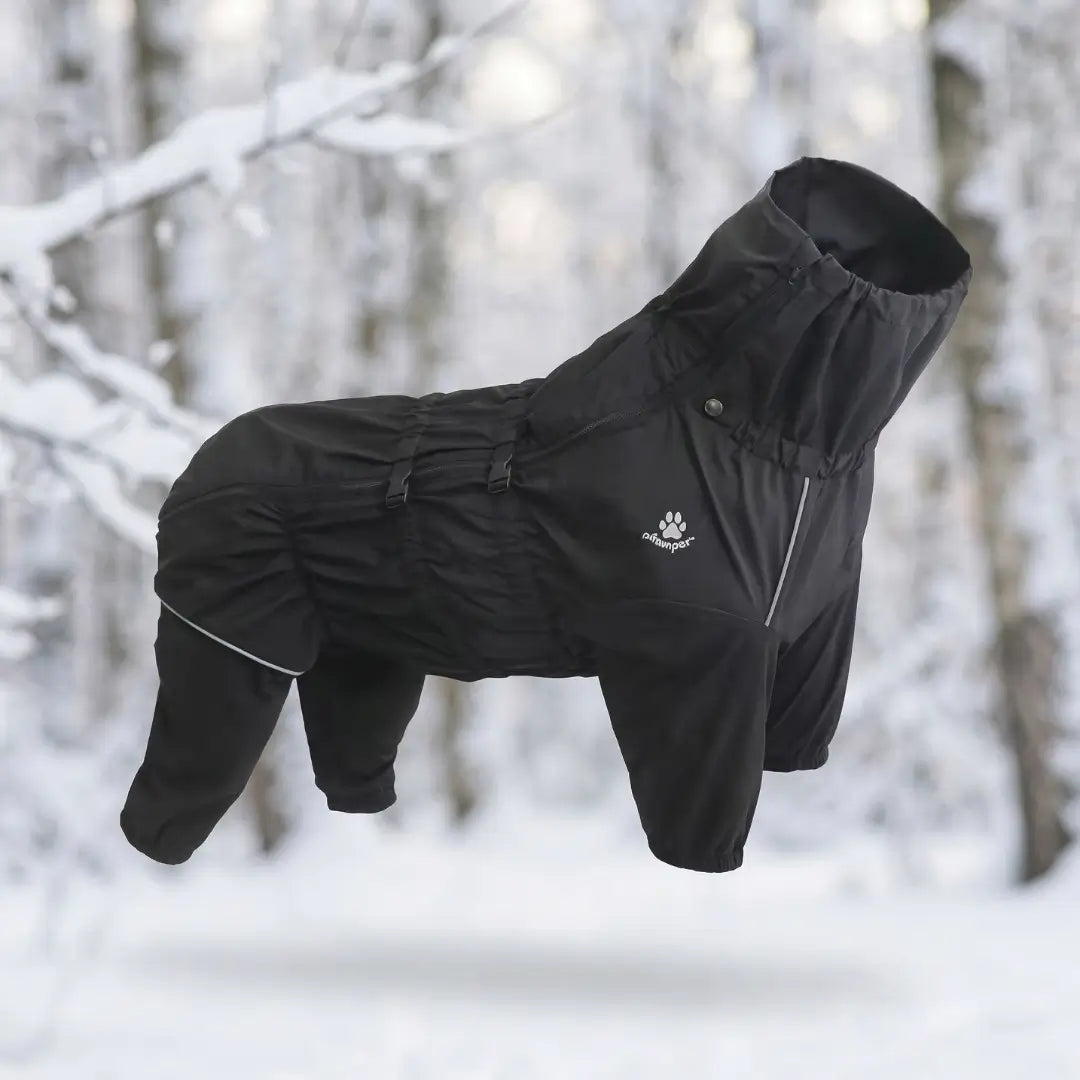Hundemantel_Winter  Variantenbild Schwarz