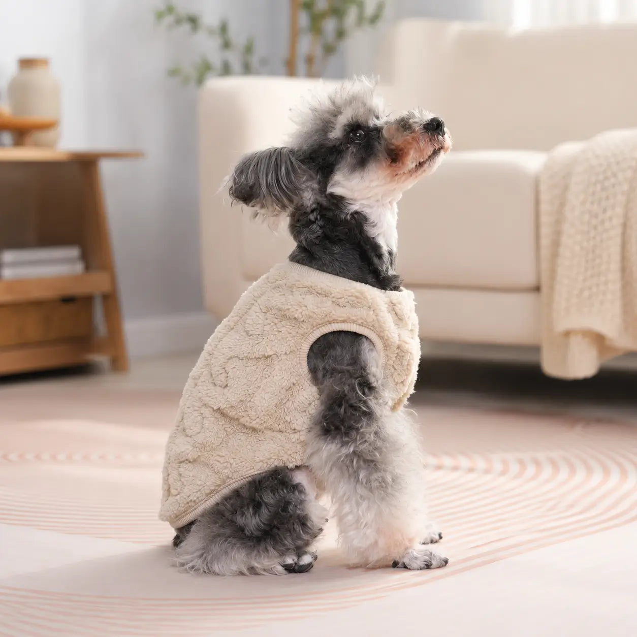 Hundemantel Aprikose