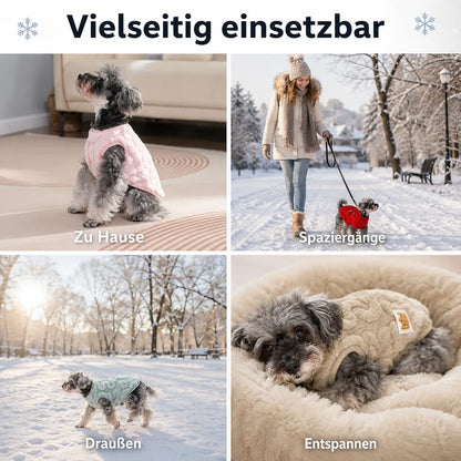 Hundemantel Anwendungsszenarien 