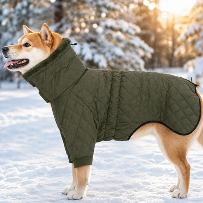 Hundemantel Hauptbild