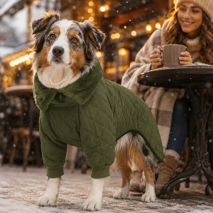 Hundemantel Lifestyle-Bild