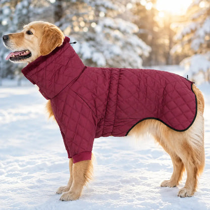 Hundemantel Lifestyle-Bild