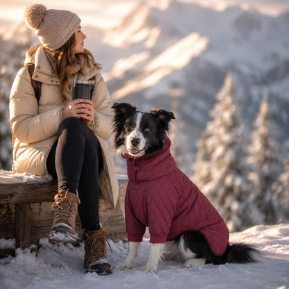 Hundemantel Lifestyle-Bild