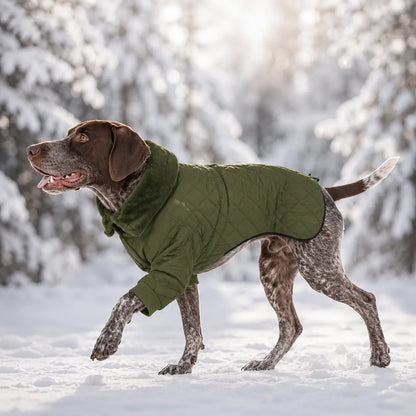 Hundemantel Lifestyle-Bild