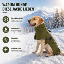 Hundemantel wasserdicht Vorteile