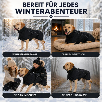 Hundemantel wasserdicht Anwendungsszenarien