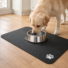 Hundematte_f_r_Fressnapf_Vorteile 