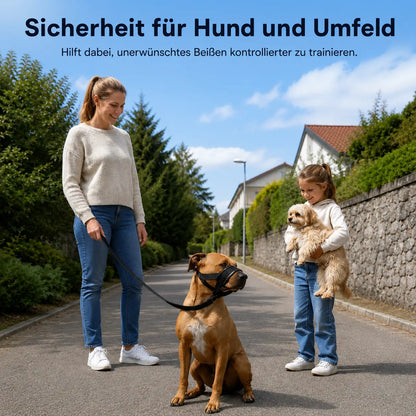 Hundemaulkorb Lifestyle-Bild