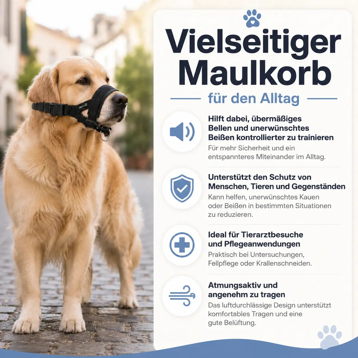 Hundemaulkorb Vorteile 