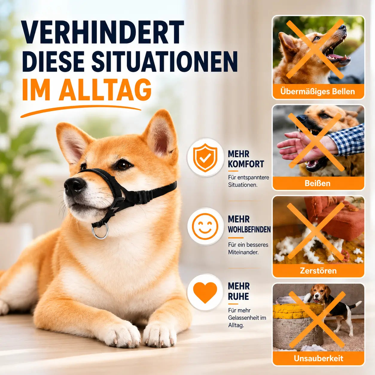 Hundemaulkorb Vorteile 
