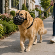 Hundemaulkorb_aus_Silikon_ Hauptbild 