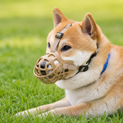 Hundemaulkorb 