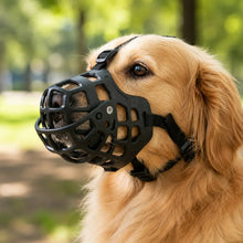 Hundemaulkorb Hauptbild 