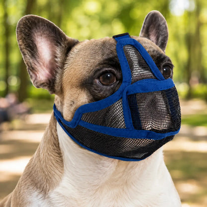 Hundemaulkorb Detailaufnahme