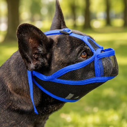 Hundemaulkorb Detailaufnahme