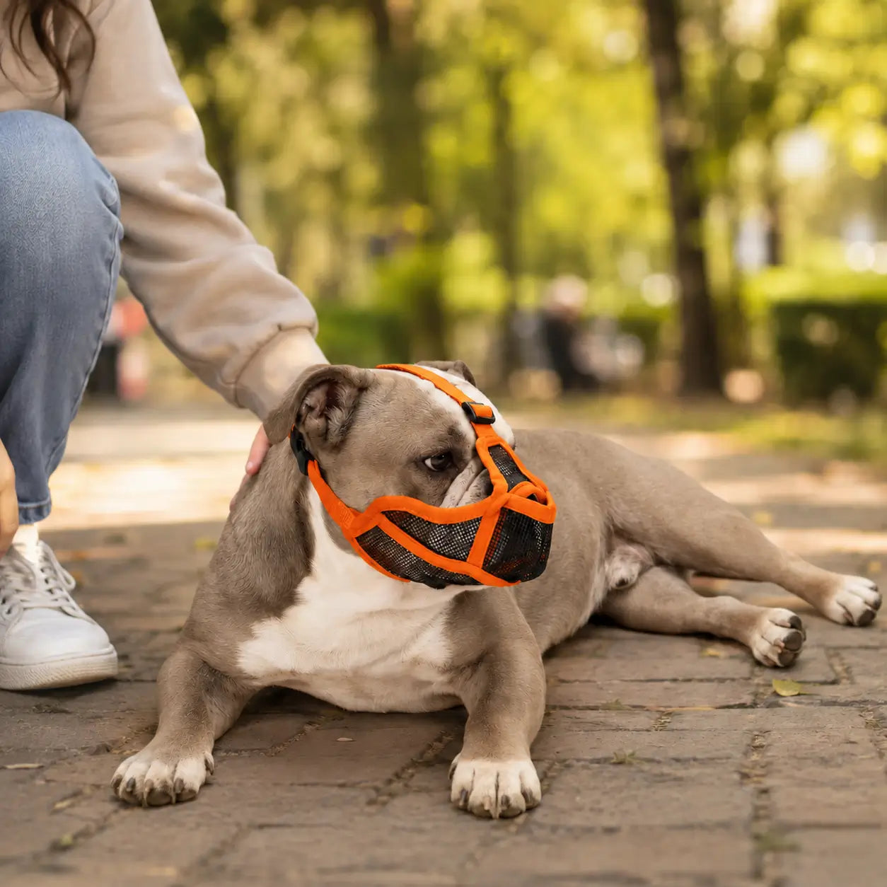 Hundemaulkorb Lifestyle-Bild