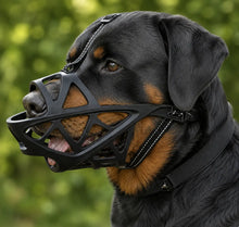 Hundemaulkorb Hauptbild 