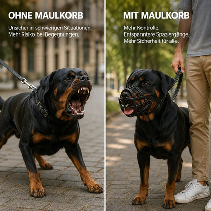 Hundemaulkorb Problem & Lösung