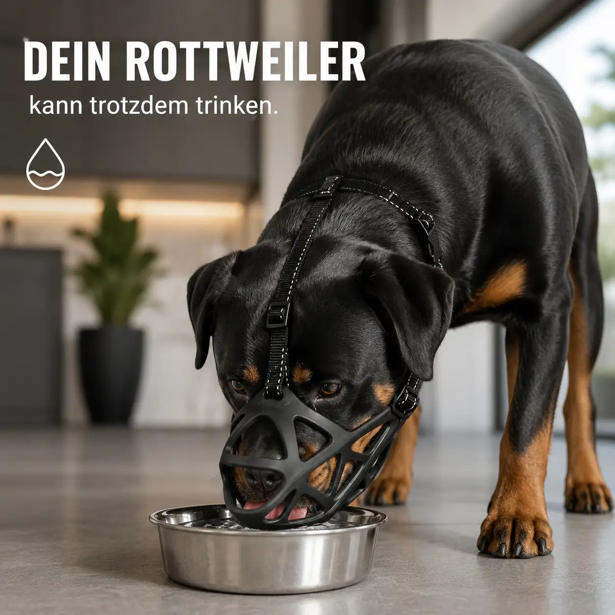 Hundemaulkorb Anwendungsszenarien